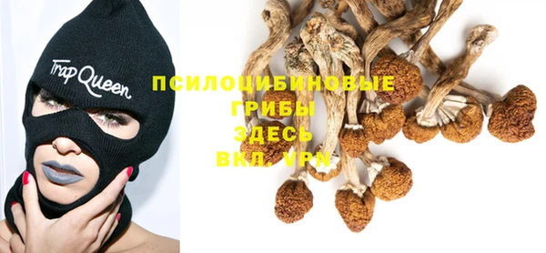 ALPHA PVP Ельня