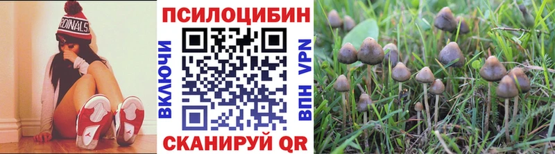 Галлюциногенные грибы мухоморы  Карабаново 
